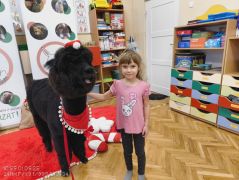 większy obrazek nr 74