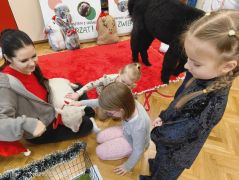 większy obrazek nr 79