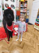 większy obrazek nr 80