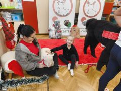 większy obrazek nr 82