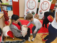 większy obrazek nr 88