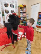 większy obrazek nr 89