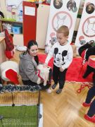 większy obrazek nr 92