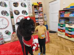 większy obrazek nr 93