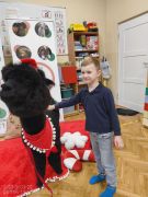 większy obrazek nr 91