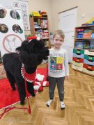 większy obrazek nr 95