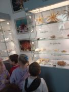 większy obrazek nr 41