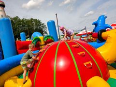 większy obrazek nr 88