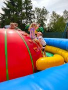 większy obrazek nr 100