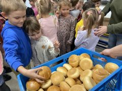 większy obrazek nr 24