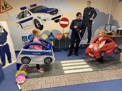 większy obrazek nr 16