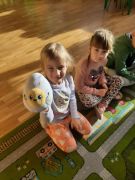 większy obrazek nr 1