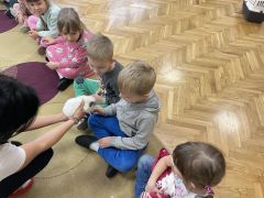 większy obrazek nr 4