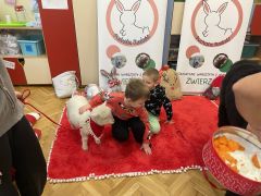 większy obrazek nr 28