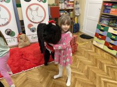 większy obrazek nr 10