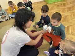 większy obrazek nr 9