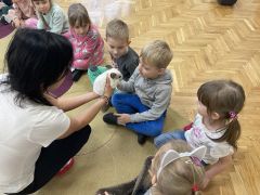 większy obrazek nr 13