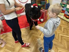 większy obrazek nr 45