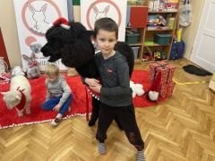 większy obrazek nr 49