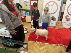 większy obrazek nr 52