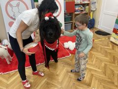 większy obrazek nr 56