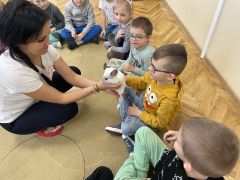 większy obrazek nr 58