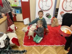 większy obrazek nr 59