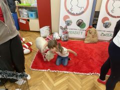 większy obrazek nr 61