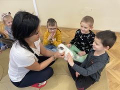 większy obrazek nr 63