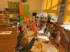 większy obrazek nr 7