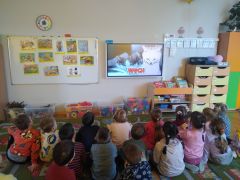 większy obrazek nr 3