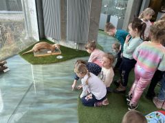 większy obrazek nr 11