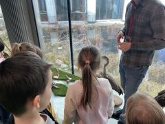 większy obrazek nr 17