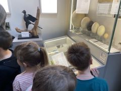 większy obrazek nr 7