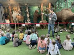 większy obrazek nr 22