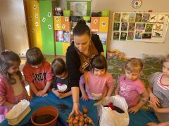 większy obrazek nr 3