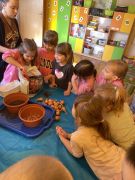 większy obrazek nr 6