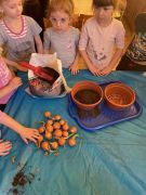 większy obrazek nr 4