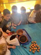 większy obrazek nr 10