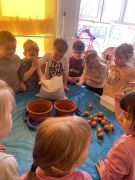 większy obrazek nr 13