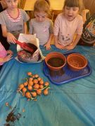 większy obrazek nr 15