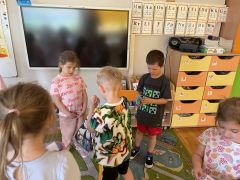 większy obrazek nr 3