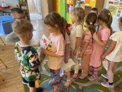 większy obrazek nr 11