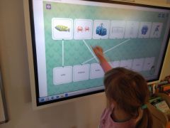 większy obrazek nr 8