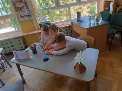 większy obrazek nr 9