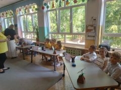 większy obrazek nr 21