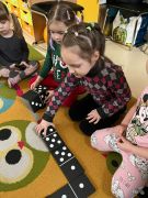 większy obrazek nr 10