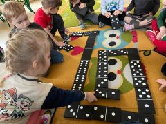 większy obrazek nr 15