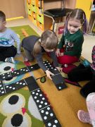 większy obrazek nr 17