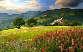 ilustracja do wpisu 
Wakacyjne życzenia